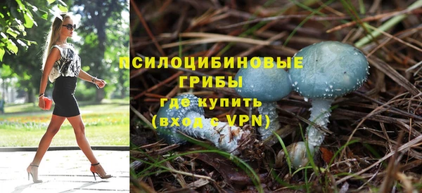 бошки Волоколамск