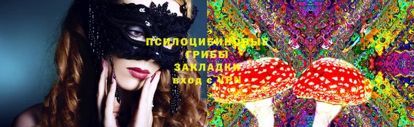 стафф Володарск