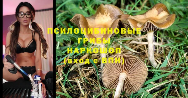 молекула духа Верхнеуральск