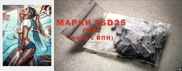 стафф Володарск