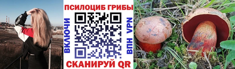 наркотики  Каргат  Псилоцибиновые грибы Cubensis 